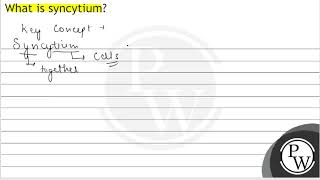 What is syncytium [upl. by Einahpetse]