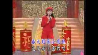 卓依婷 Timi Zhuo 百花齐放 高清第二中国DVD国语版 粤语：恭喜过新年 [upl. by Lateh]