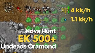 Tibia  EK 500 hunt Undead Dragon e Fury  4KKh raw Exp e 11KKh gold [upl. by Nohshan]