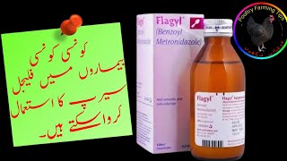 Metronidazole for Chickens and other Poultry Birds  Flagyl for Chickens  flagyl uses in birds [upl. by Nodnelg]