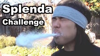 Large Splenda Bag Challenge [upl. by Kendy]