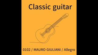 0102  MAURO GIULIANI  Allegro [upl. by Raynard]