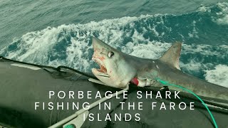 porbeagle shark fishing in the Faroe island [upl. by Wiseman]