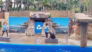 Day 03 uShaka Marine World Durban South Africa 🌍 [upl. by Romeo494]