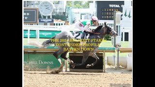 2024 BELMONT STAKES CONTENDER PROFILES  BATTEN DOWN [upl. by Adnarem]