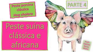 PESTE SUÍNA CLÁSSICA E PESTE SUÍNA AFRICANA  parte 4 medicina veterinária [upl. by Oirogerg608]