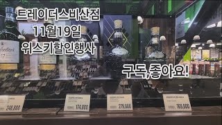 대구트레이더스비산점 11윌19일 위스키할인 whisky 위스키행사 맥캘란 위스키추천 달모어 발베니 조니워커 블루라벨 글렌모렌지 글렌그란 글렌 [upl. by Maidie]