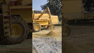 CLAAS 870 Jaguar Forage Harvester on Maize Silage agri [upl. by Eleph]