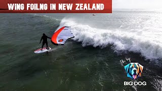 Wing Foiling in waves in New Zealand 4k [upl. by Garrett]