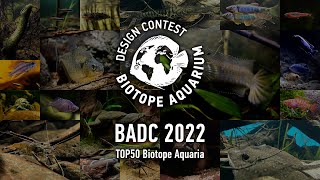 TOP50 Biotope Aquarium Design Contest BADC2022 [upl. by Boykins]