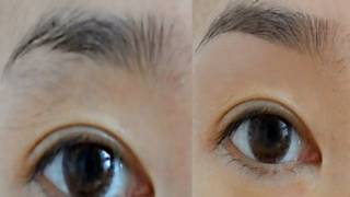 How I Groom amp Shape My Eyebrows ♥ [upl. by Ineslta]