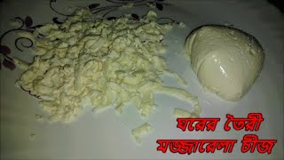 ঘরের উপকরণ দিয়েই বানিয়ে ফেলুন পারফেক্ট মজারেলা চীজ  how to make mozzarella cheese in bengali [upl. by Alleras]