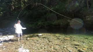 Canyon Creek Fly Fishing [upl. by Alexandro]