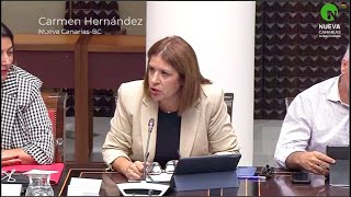 Hernández confirma que el presupuesto canario para 2025 retrocede en la inversión en educación [upl. by Velleman570]