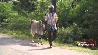 Rowthram Pazhagu 29122012  Episode 44  Part 2 [upl. by Yrailih823]