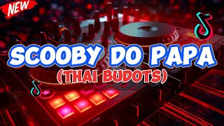 SCOOBY DOO PA PA TIKTOK REMIX  THAI BUDOTS 2024  DJTONGZKIE REMIX [upl. by Zzaj700]