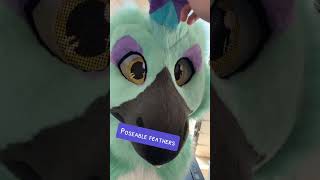 Taupo the raptor  FURSUIT FEATURE fursuit furry [upl. by Reagan101]