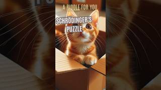 Schrodingers Puzzle About a Cat in Quantum Physics [upl. by Eintruok]