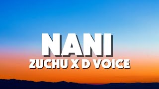 Zuchu  Nani ft D Voice [upl. by Nagaer]