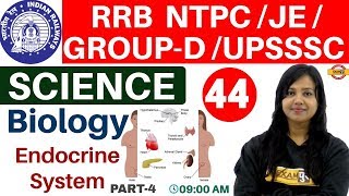 Class44 RRB NTPCJEGROUPD UPSSSCSSC Science  Biology By Amrita Maam Endocrine System [upl. by Trow]