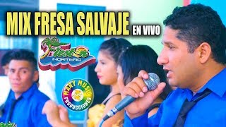 FIESTON NORTEÑO  MIX FRESA SALVAJE EN VIVO 2018 MARY MUSIC PRODUCCIONES [upl. by Ardnassak]