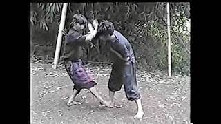 Silat quotFighting Techniquesquot [upl. by Teage]