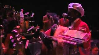 Afro Cuban All Stars  Amor Verdadero  Absolutely Live by Lucas Vazquez [upl. by Kerwinn738]