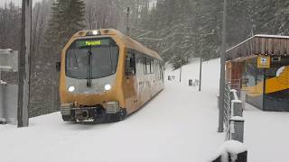 Mariazellerbahn EMU at Erlaufklause [upl. by Bandler]