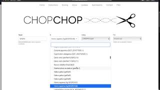 How to find sgRNA target sequences using CHOPCHOP [upl. by Jaddo]