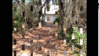 Little Manatee River State Park [upl. by Gerrald]