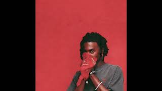 Playboi Carti  V Westwood [upl. by Col881]