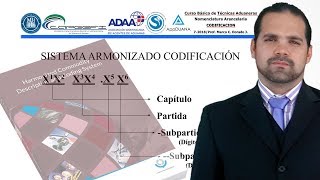 Estructura de Codificación SA [upl. by Dnarud]