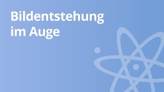 Physik Bildentstehung im Auge  physikalischer Hintergrund  Physik  Optik [upl. by Enhpad]