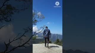 Moosewala trending song masoori trip masori elvishyadav mouselooping [upl. by Neehs899]