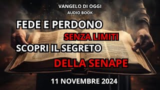 Vangelo di oggi Perdono Illimitato e Potenza della Fede – Un Messaggio Scioccante [upl. by Amund]