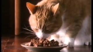 Whiskas 1986 TV advert [upl. by Gratianna780]