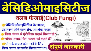 बेसिडिओमाइसीट्स Basidiomycetes  basidiomycetes fungi examples characteristics diseases diagram [upl. by Saphra821]