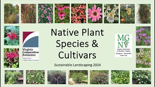 Native Plant Species amp Cultivars [upl. by Aryl]