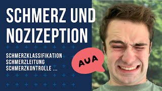 Schmerz und Nozizeption [upl. by Ikey]