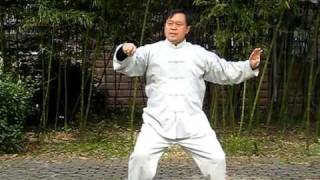 Master Ma Baoguo Hunyuan Xingyi Taiji 8 Form [upl. by Adnawat29]