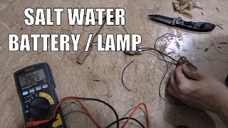 Salt Water Battery Lamp Test [upl. by Anitteb]