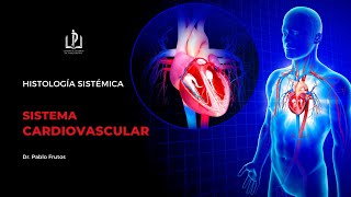 HISTOLOGÍA DEL SISTEMA CARDIOVASCULAR  TEJIDO MUSCULAR DEL CORAZÓN  DR PABLO FRUTOS [upl. by Parks]