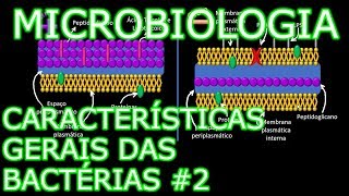 Aula Microbiologia Médica 5  Características Gerais das Bactérias 2 [upl. by Norby]