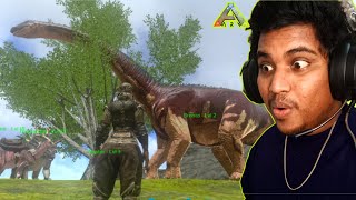 Tame Bronto Biggest Dinosaur Ark Survival Evolved Mobile Hindi Gameplay [upl. by Zweig]