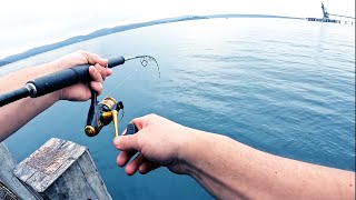 Wharf Fishing Australia for Trevally [upl. by Sifan497]