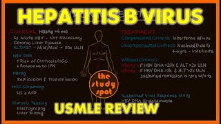 Hepatitis B Virus for the USMLE [upl. by Lhok444]