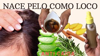 MEZCLA ESTO EN TU SHAMPOO Y TU CABELLO NO PARARÁ DE CRECER [upl. by Luelle529]