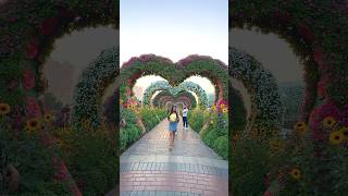 Dubai🇦🇪Miracle Garden 😍 trending minivlog viralvideo [upl. by Quint]