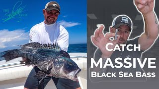 Black Sea Bass Fishing  The Setup to catch your BIGGEST black sea bass Part 1 of Black Sea Bass [upl. by Ainessej334]