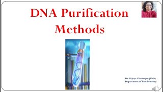 DNA Purification Methods [upl. by Dlarej]